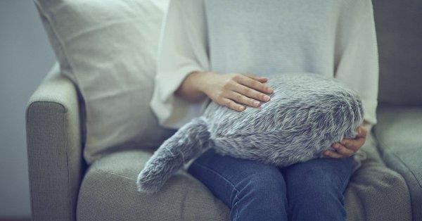 Qoobo, il gatto senza testa tutto da coccolare Il gatto senza testa mentre riceve coccole