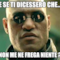 e se ti dicessero che... non me ne frega niente ?