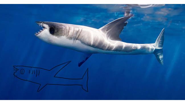 Squalo creato con Photoshop e disegno originale