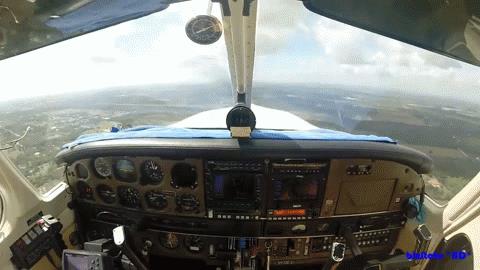 uccello rompe il parabrezza di un aereo in volo
