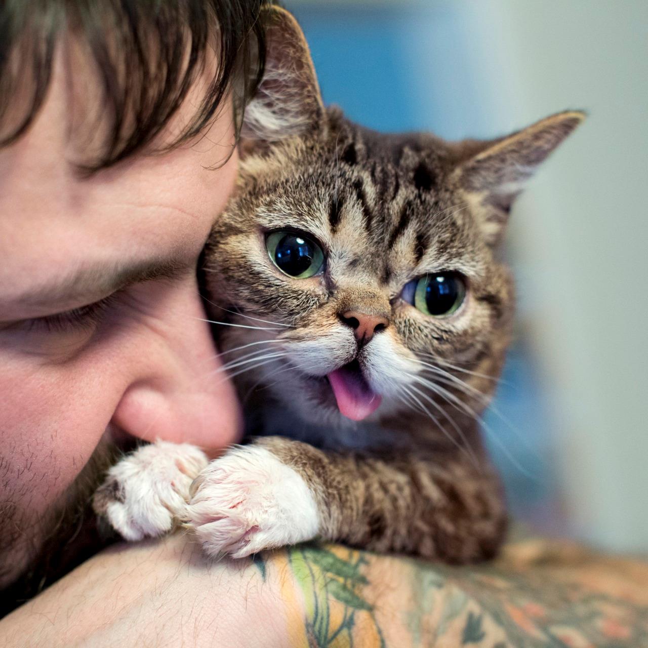 Lil'Bub col suo padrone