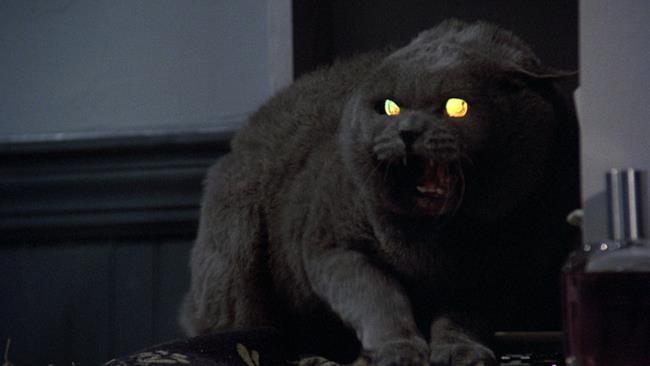 Un frame da Pet Sematary Pet Sematary