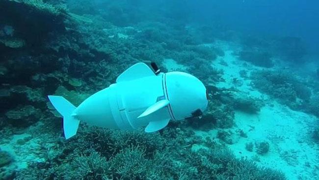 SoFi Soft Robotic Fish