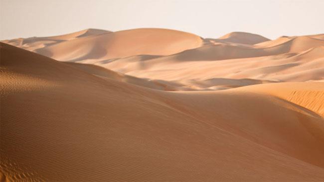 IA non distingue un nudo da una foto di un deserto Esempio di un circuito elettronico per l'IA