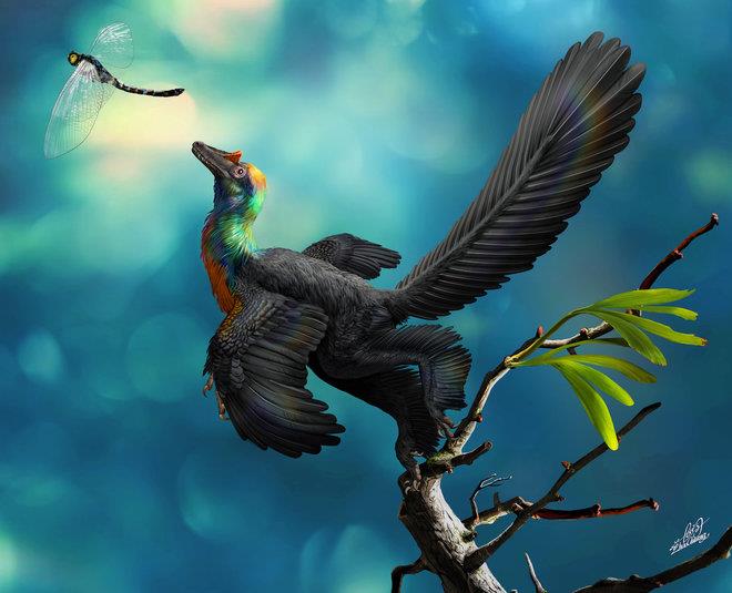 Il dinosauro arcobaleno