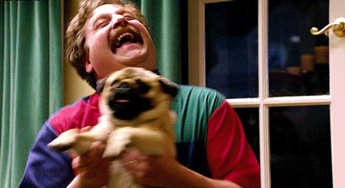 GIF crazy