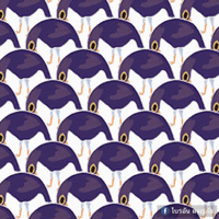 Gif dei piccioni viola in movimento
