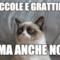 coccole e grattini? ma anche no