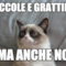 coccole e grattini? ma anche no