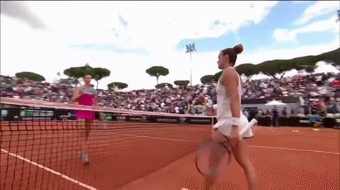 Una tennista arrabbiata prende a racchettate la sedia dell'arbitro - Le GIF più divertenti da scaricare e condividere su Facebook e WhatsApp