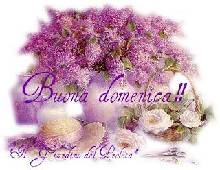Un mazzo di fiori e un cappello