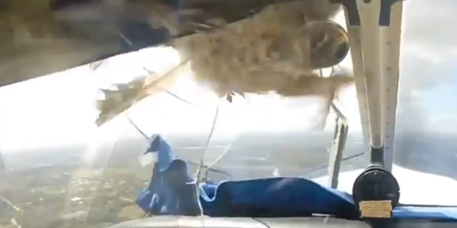 Volatile sfonda il parabrezza di un aereo uccello rompre il vetro di un piccolo aereo da turismo
