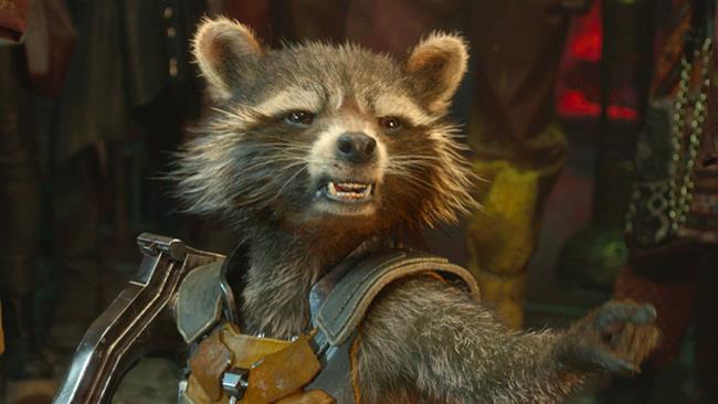 Rocket Raccoon, voci sulla sua presenza nel film Avengers: Infinity War, Rocket Raccoon