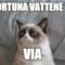 sfortuna vattene via via