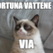 sfortuna vattene via via