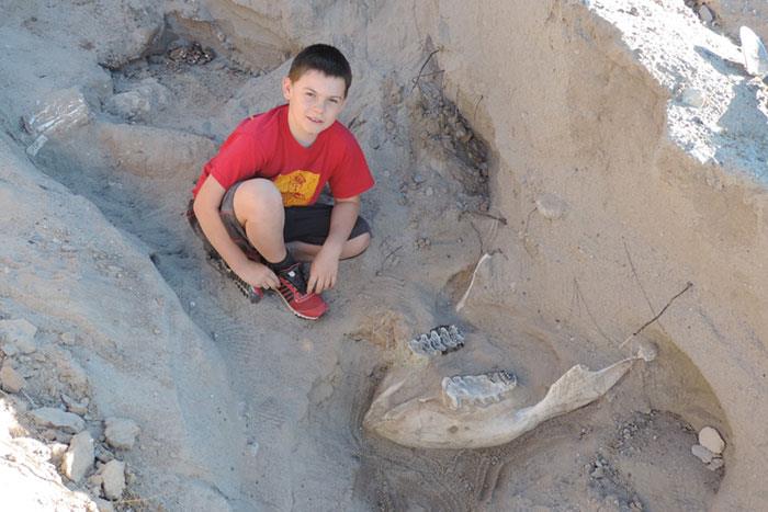 Jude Sparks, il bambino che ha scoperto un antico fossile
