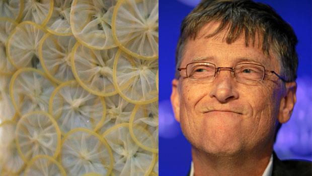 Bill Gates finanzia dei preservativi ultrasottilissimi! Bill Gates e preservativi