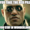 YOU TAKE THE RED PILL YOU STAY IN WONDERLAND