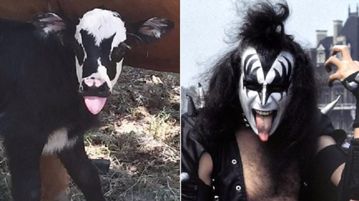 Genie e Gene Simmons