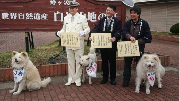 In Giappone, un cane saluta i turisti in stazione