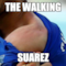 The Walking Suarez