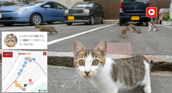 I gatti di Cat Street View sulla mappa