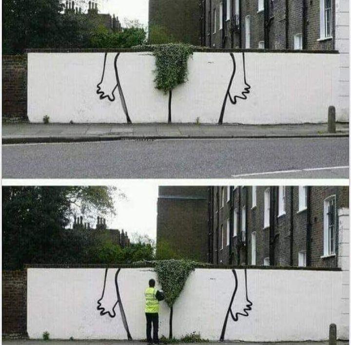 Immagini divertenti per WhatsApp - Giardinaggio