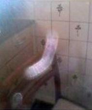 Fantasmino colto in flagrante