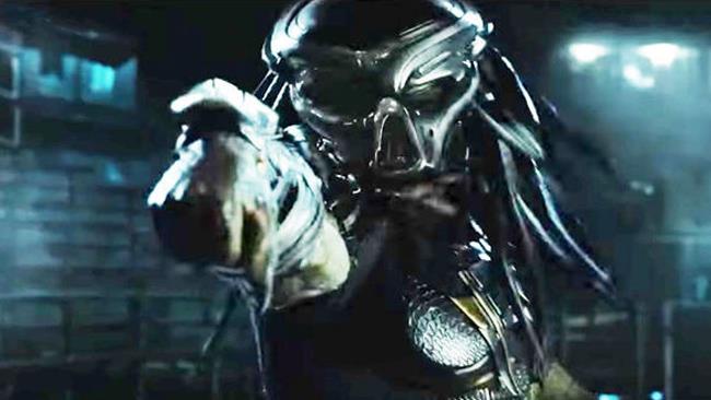 Predator Un Predator pronto a colpire