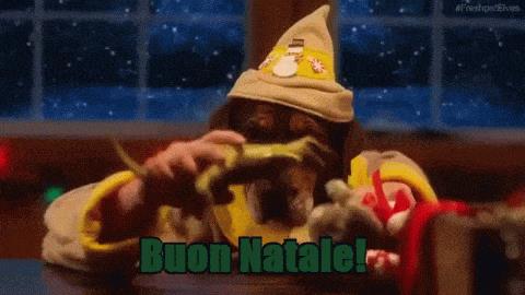 Cani con mani umane confezionano regali per Natale