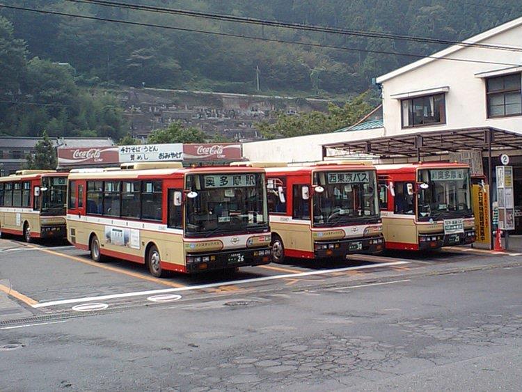 Alcuni dei bus usati per questa astuta iniziativa.