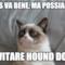 Elvis va bene, ma possiamo... ...evitare Hound Dog?