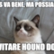 Elvis va bene, ma possiamo... ...evitare Hound Dog?