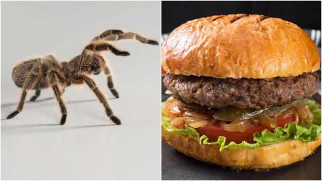 Negli Stati Uniti se mangi un hamburger alla tarantola vinci una maglietta A sinistra una tarantola e a destra un hamburger