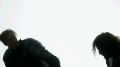brienne colpisce il mastino
