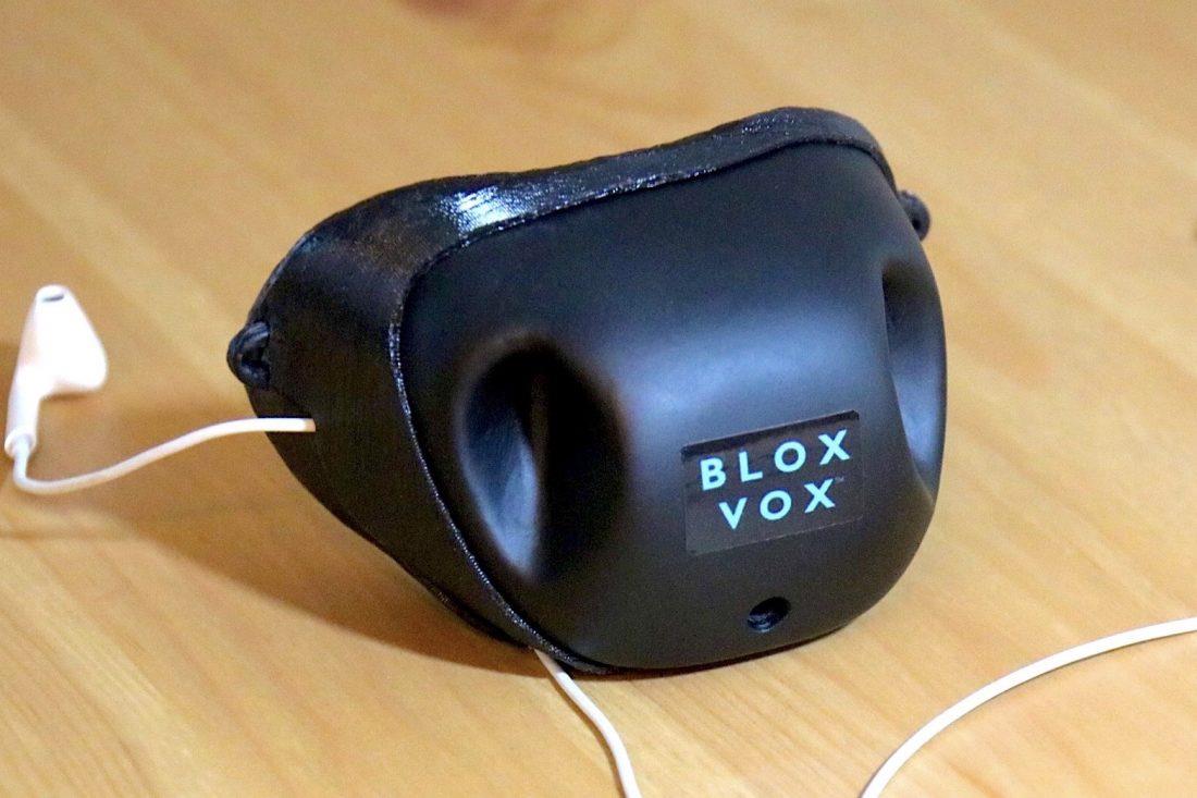 la maschera BloxVox
