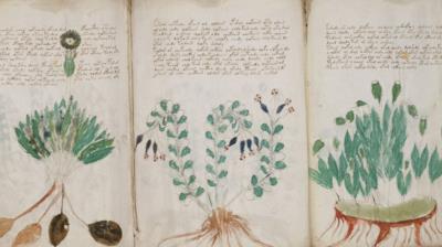 L'oscuro manoscritto di Voynich