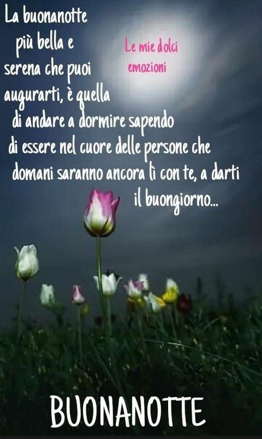 Una prato con fiori