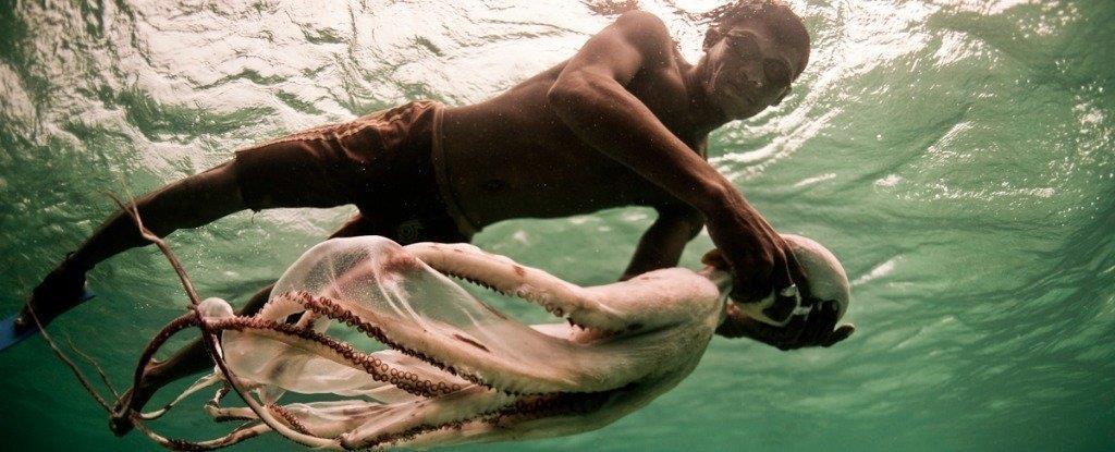 Uno dei Bajau intento a pescare