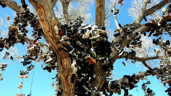 Perché si appendono vecchie paia di scarpe agli alberi? Gli alberi con le scarpe sono popolari in tutto il mondo