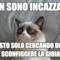 Non sono incazzato sto solo cercando di sconfiggere la gioia