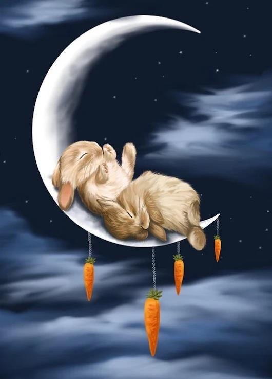 Due conigli dormono sulla Luna