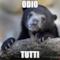 ODIO TUTTI