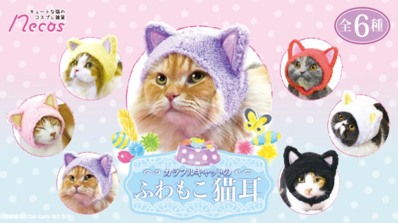 Non sono bellissimi? I berretti per i gatti