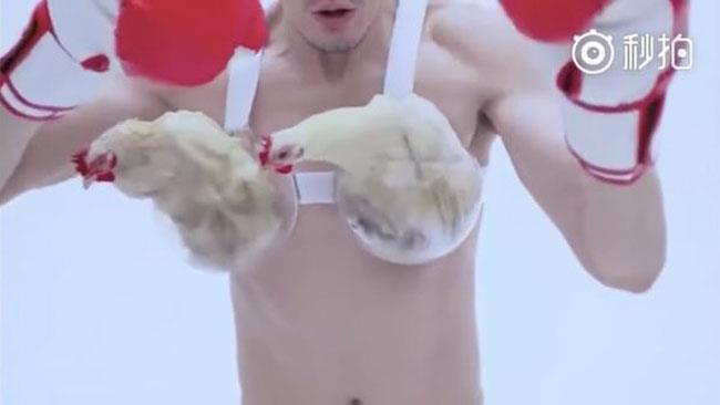 La coppa E degli inquietanti reggiseni giapponesi La coppa E degli strani reggiseni giapponesi