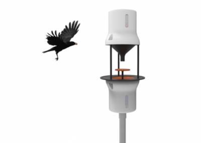 La Crow Box e un corvo