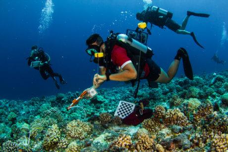 I ricercatori che aderiscono alla 100 Island Challenge