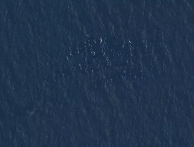 Porzione di Oceano su mappa