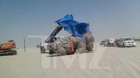 Animale alieno dal set di Star Wars 7