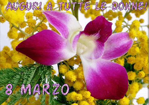 Una animazione di un fiore - Immagini animate per la Festa della Donna